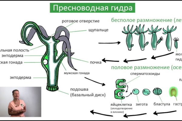 Кракен официальная ссылка зеркало