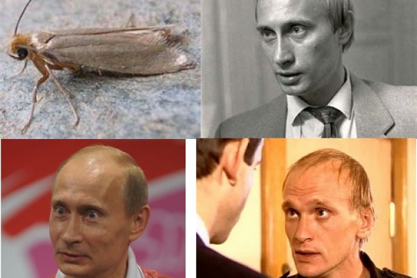 Блэкспрут сайт в тор