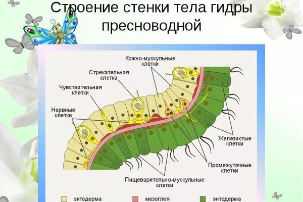 Кракен сайт пользователь не найден