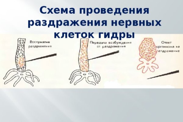 Kraken сайт krakens15 at